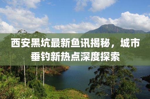 西安黑坑最新鱼讯揭秘，城市垂钓新热点深度探索
