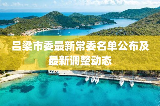 吕梁市委最新常委名单公布及最新调整动态