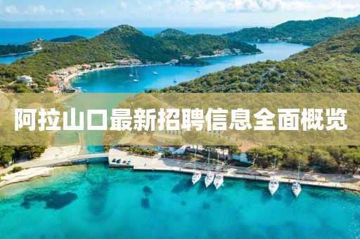 阿拉山口最新招聘信息全面概览