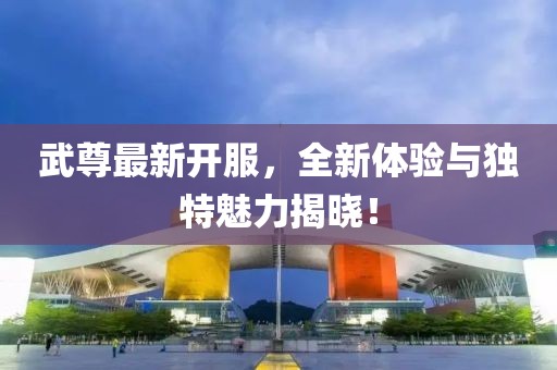 武尊最新开服，全新体验与独特魅力揭晓！
