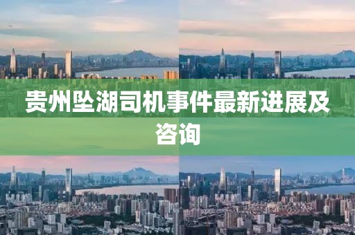 贵州坠湖司机事件最新进展及咨询