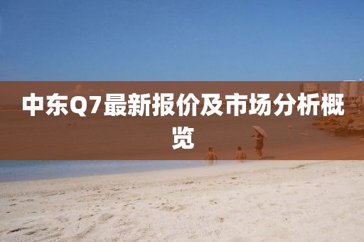 中东Q7最新报价及市场分析概览