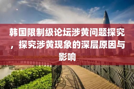 韩国限制级论坛涉黄问题探究，探究涉黄现象的深层原因与影响