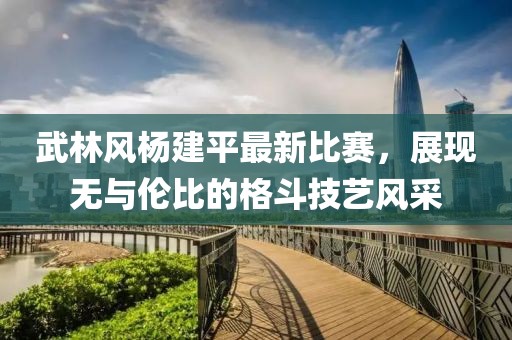 武林风杨建平最新比赛，展现无与伦比的格斗技艺风采