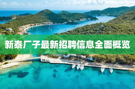 新泰厂子最新招聘信息全面概览