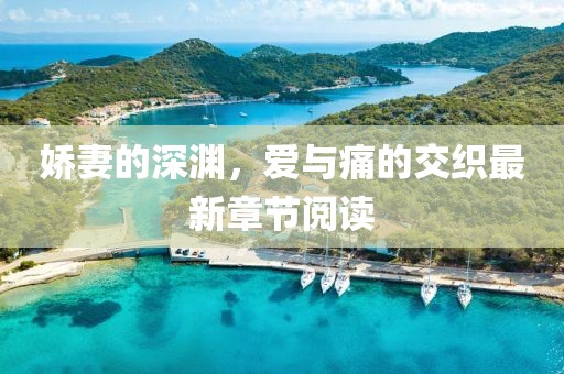 娇妻的深渊，爱与痛的交织最新章节阅读