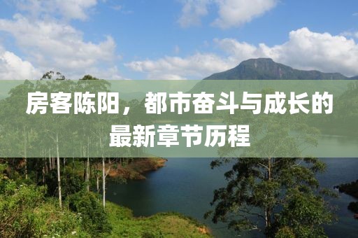 房客陈阳，都市奋斗与成长的最新章节历程