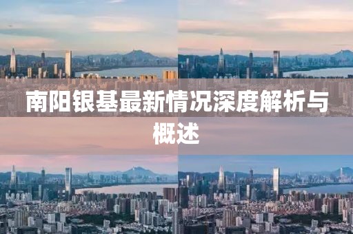 南阳银基最新情况深度解析与概述