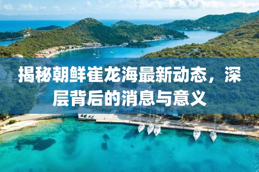 揭秘朝鲜崔龙海最新动态，深层背后的消息与意义