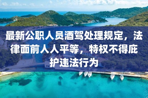 最新公职人员酒驾处理规定，法律面前人人平等，特权不得庇护违法行为