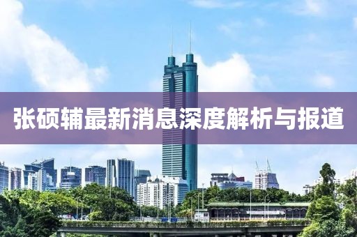 张硕辅最新消息深度解析与报道