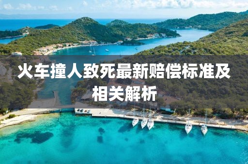 火车撞人致死最新赔偿标准及相关解析