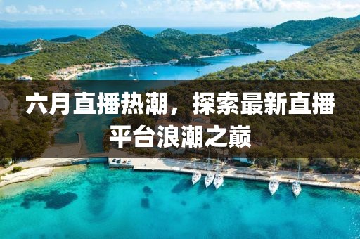 六月直播热潮，探索最新直播平台浪潮之巅