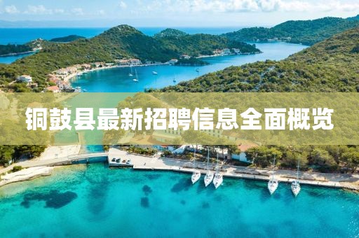 公司简介 第543页