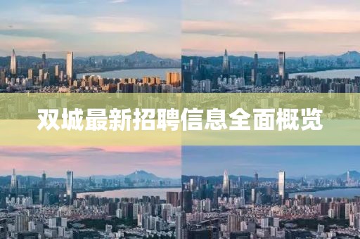 双城最新招聘信息全面概览