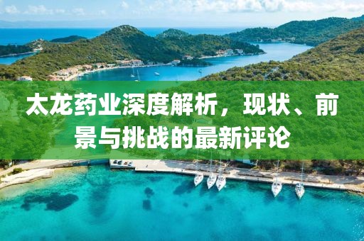 太龙药业深度解析，现状、前景与挑战的最新评论