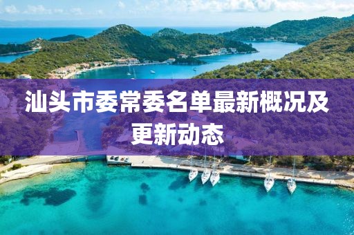 汕头市委常委名单最新概况及更新动态