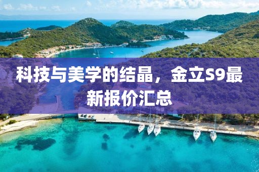 科技与美学的结晶，金立S9最新报价汇总