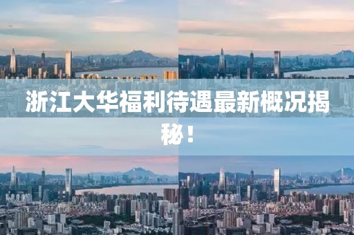 浙江大华福利待遇最新概况揭秘！