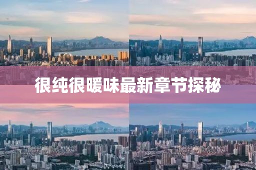 很纯很暖味最新章节探秘