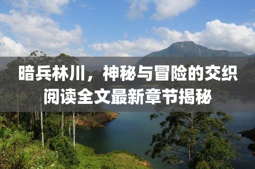 暗兵林川，神秘与冒险的交织阅读全文最新章节揭秘
