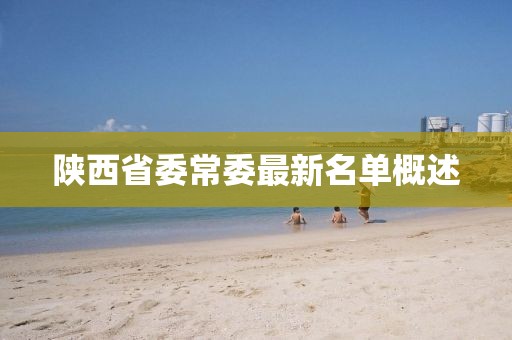 陕西省委常委最新名单概述