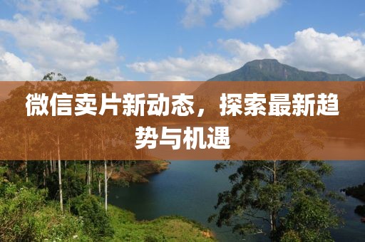 微信卖片新动态，探索最新趋势与机遇