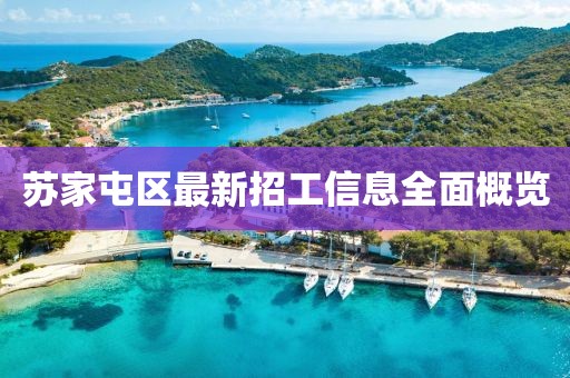 苏家屯区最新招工信息全面概览