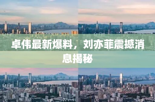 花开无言 第26页