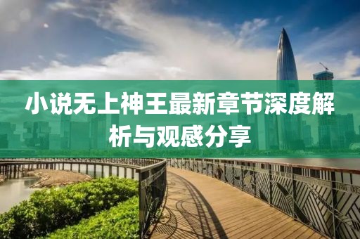 小说无上神王最新章节深度解析与观感分享