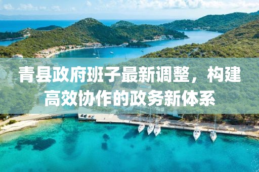 青县政府班子最新调整，构建高效协作的政务新体系