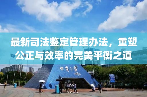 尽是敷衍 第27页