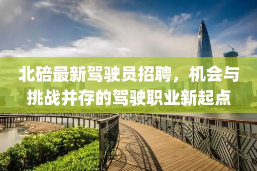 北碚最新驾驶员招聘，机会与挑战并存的驾驶职业新起点