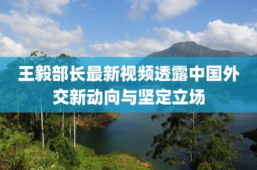 王毅部长最新视频透露中国外交新动向与坚定立场