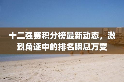 十二强赛积分榜最新动态，激烈角逐中的排名瞬息万变