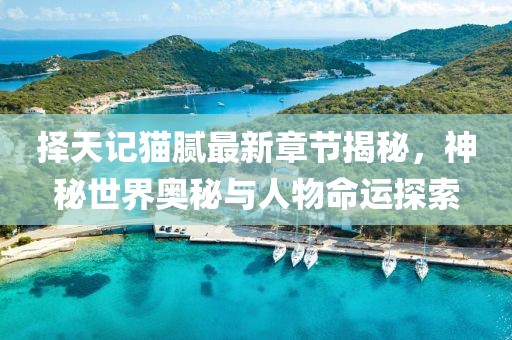 择天记猫腻最新章节揭秘，神秘世界奥秘与人物命运探索
