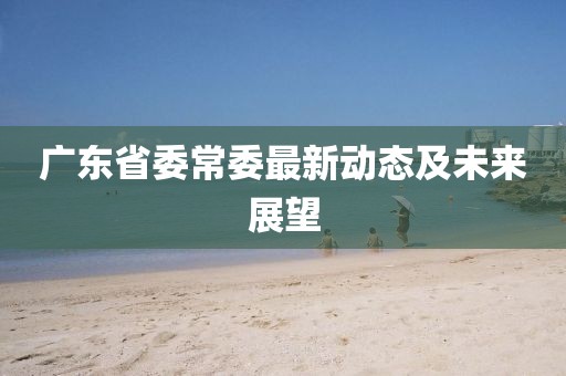广东省委常委最新动态及未来展望
