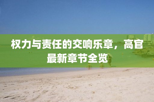 权力与责任的交响乐章，高官最新章节全览