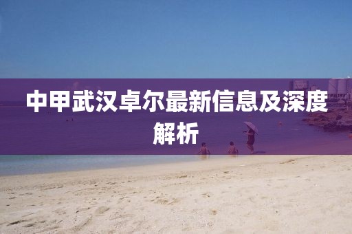 中甲武汉卓尔最新信息及深度解析