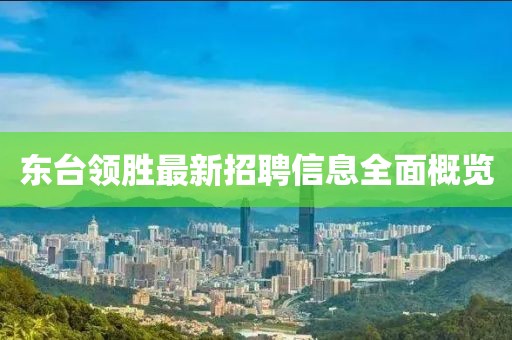 东台领胜最新招聘信息全面概览