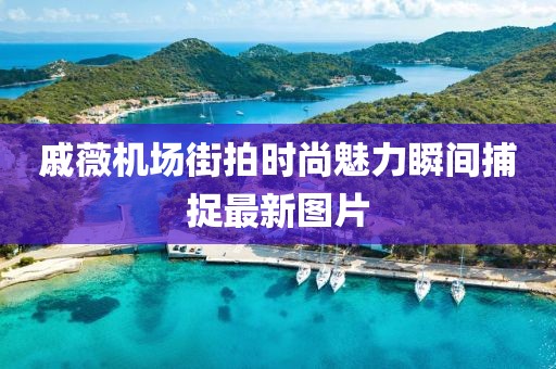 放手理由 第24页