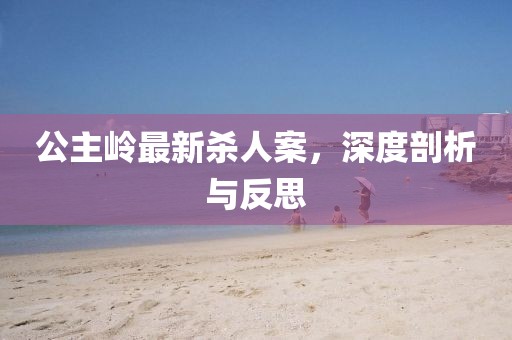 公主岭最新杀人案，深度剖析与反思