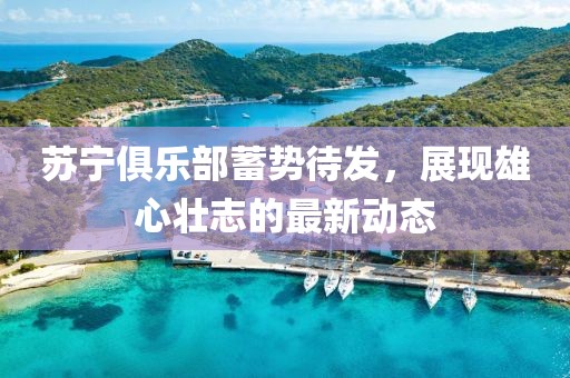 苏宁俱乐部蓄势待发，展现雄心壮志的最新动态