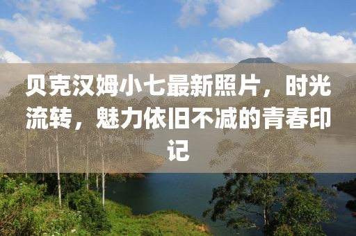 贝克汉姆小七最新照片，时光流转，魅力依旧不减的青春印记