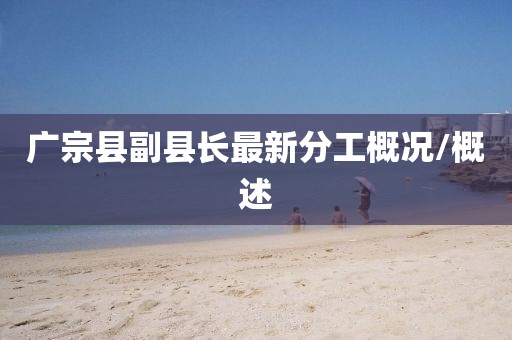 广宗县副县长最新分工概况/概述