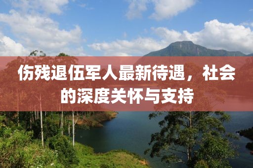 伤残退伍军人最新待遇，社会的深度关怀与支持