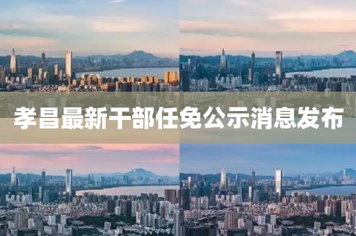 孝昌最新干部任免公示消息发布
