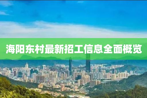 海阳东村最新招工信息全面概览
