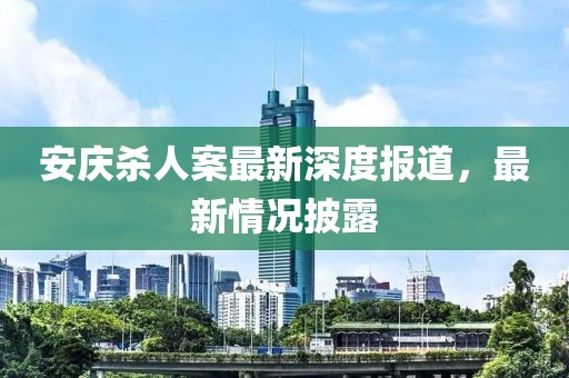 安庆杀人案最新深度报道，最新情况披露