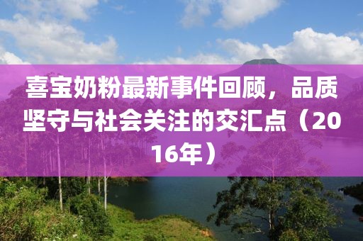 喜宝奶粉最新事件回顾，品质坚守与社会关注的交汇点（2016年）